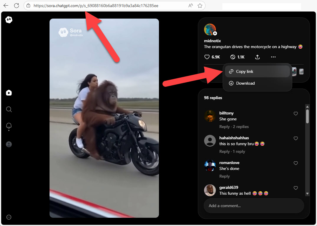 How to get Sora video link